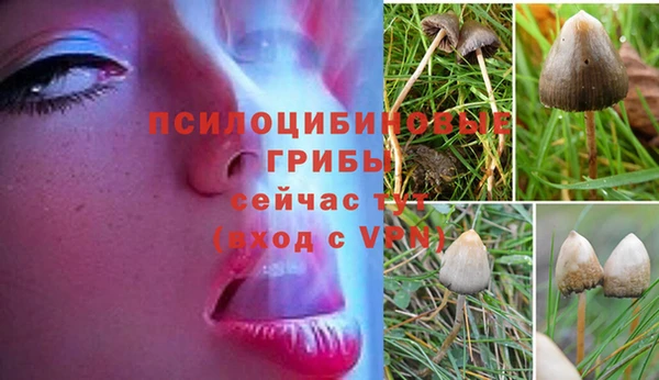 гашиш Баксан