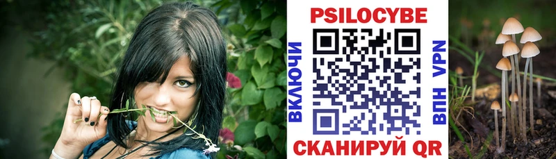 Галлюциногенные грибы ЛСД  Вытегра 